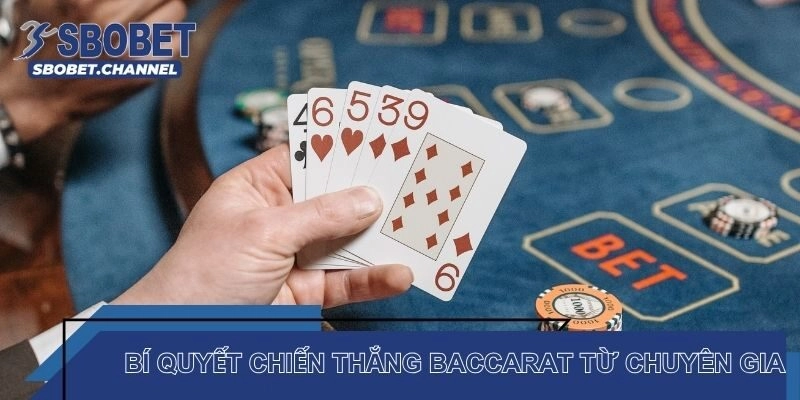 Bí quyết chiến thắng Baccarat từ chuyên gia