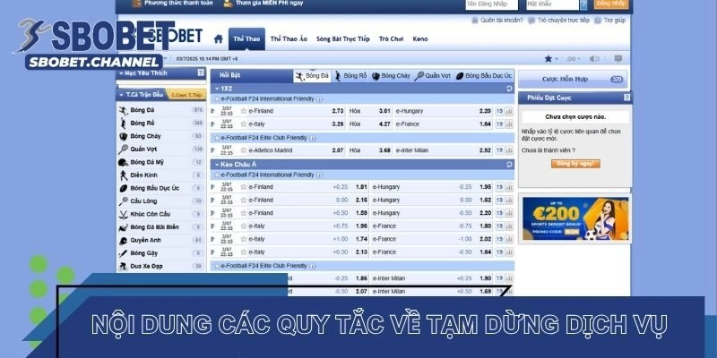 Nội dung các quy tắc về tạm dừng dịch vụ